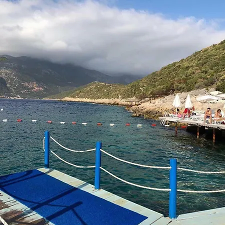 Merla Villa